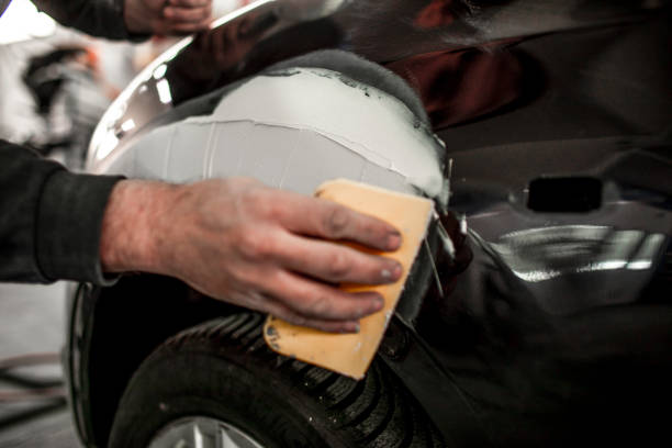 Trusted Old Westbury, NY Mold Removal Experts