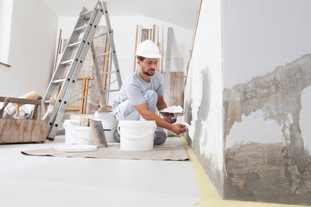 Best Mold Remediation for Rental Properties  in Old Westbury, NY