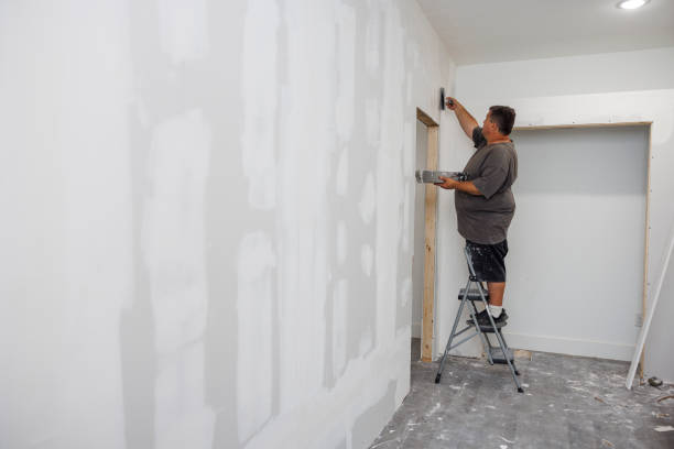 Best Mold Documentation for Insurance Claims  in Old Westbury, NY