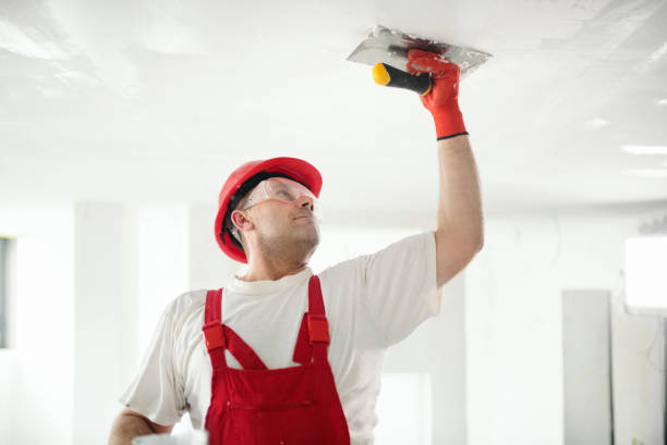 Best Basement Mold Removal  in Old Westbury, NY