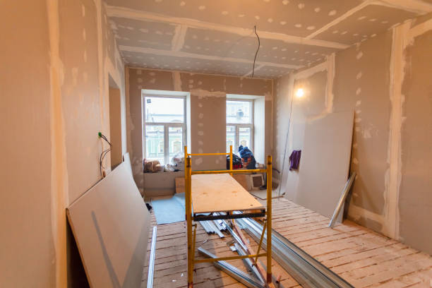 Best Black Mold Removal  in Old Westbury, NY